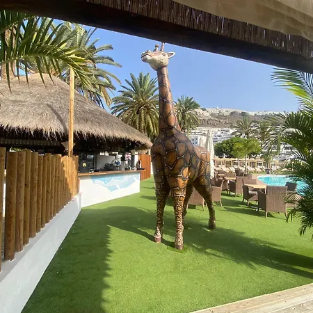 Comfortable Modern House , And Access To Swimming Pool